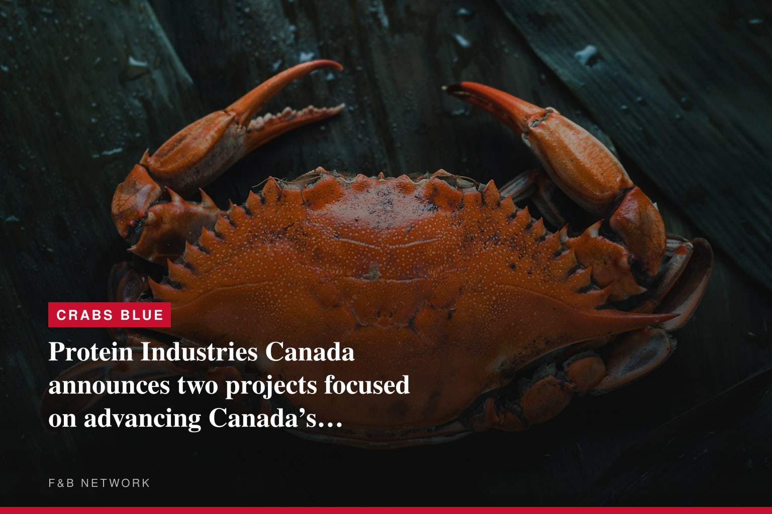 Protein Industries Canada announces two projects focused on advancing Canada’s domestic food production capacity